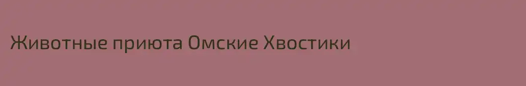 Животные приюта Омские Хвостики